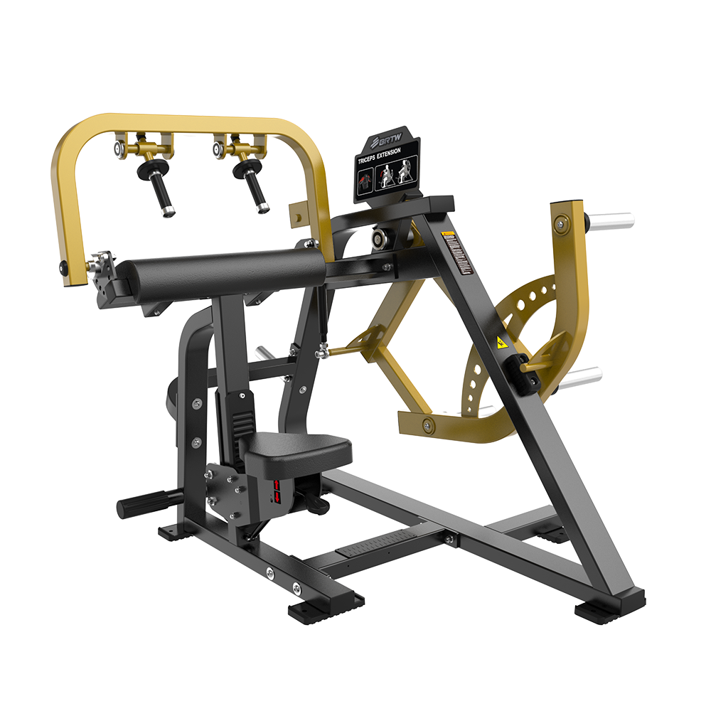 PL06 TRICEPS EXTENSION