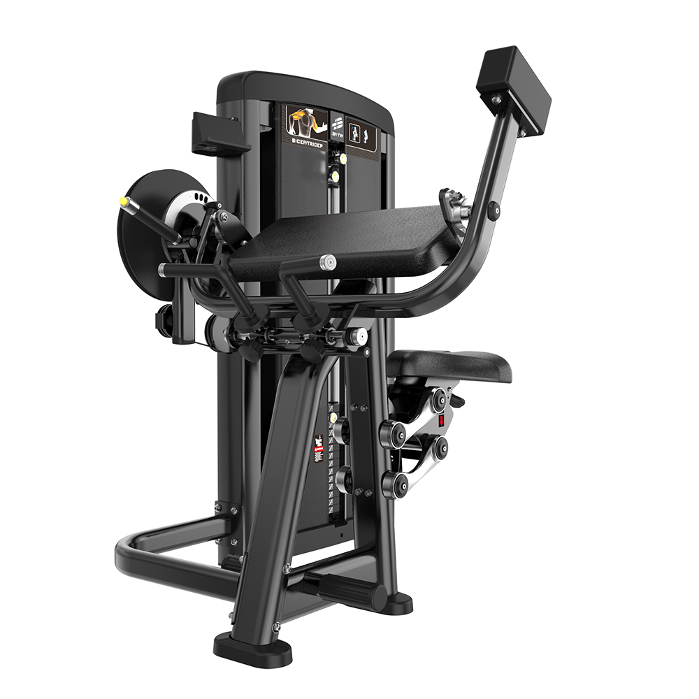 BH31 BICEP/TRICEP